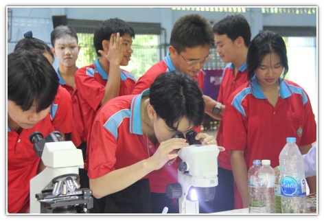 batch IMG 9989