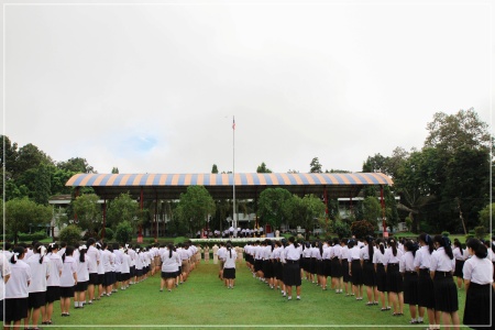 batch IMG 7672